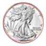 2025 1 oz American Silver Eagle - w/Premium Case, Happy Holidays