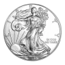 1 oz American Eagle Silver Coin