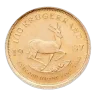 Tenth Ounce Gold Krugerrand