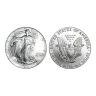 1995 American Eagle Silver 1 Oz Bullion Coin in Capsule