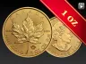 1 oz Maple Leaf Gold Coin