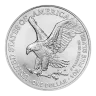 1 oz American Silver Eagle Silver Coin