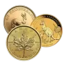 1/2 oz Gold Coin - Design Our Choice