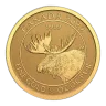 1/4 oz Canadian Moose Gold Coin