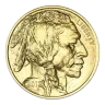 American Gold Buffalo 1 oz (Varied Year)