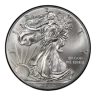 2013 American Silver Eagle Coin
