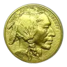 1 oz American Buffalo Gold Coin