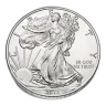 2013 Silver American Eagle - BU