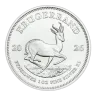 1 oz South African Mint Krugerrand Silver Coin