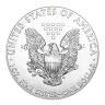 1 oz American Eagle Silver Coin (Random Year)