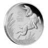 1 oz Perth Mint Rabbit 2023 Silver Coin 999.9