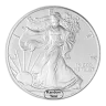 1 oz American Silver Eagle Coin (Random Year)