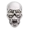 Beaver Bullion - 5 oz Silver Skull
