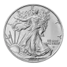 1 oz American Eagle Silver Coin 2024