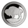 1 oz Buffalo Silver Round