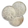 Silver American Eagle (Random Year, Impaired Condition)