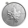 1 oz Canadian Maple Leaf Silver Coin (Random year)