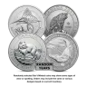1.5 oz Silver Coin