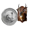 2026 SA Mint Silver Krugerrand 1oz Coin in Capsule