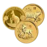 2 oz Gold Coin