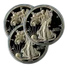 Assorted Silver 6 Ounce Round (Design Our Choice)