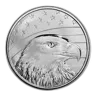 1 oz Silver Round - Bald Eagle, Flag & Capitol