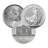 1 oz Platinum Coin