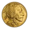 1 oz Gold Buffalo (Abrasions)