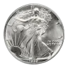 1989 Silver American Eagle - BU