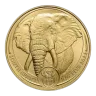 South African 1oz 2022 Gold Elephant
