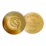 10 g GoldSecure Cast Gold Bar 999.9