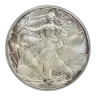 1 oz American Silver Eagle Silver Coin