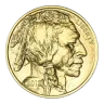 American Gold Buffalo 1 oz (Varied Year)