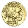 1 oz American Buffalo Gold Coin