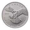 RCM 1oz Silver Birds of Prey Peregrine Falcon - 2014