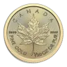 1/20 Oz Gold Canadian Maple Leaf - BU (Random Year, Sealed Packaging)