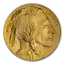 2021 Gold Bullion 1 Ounce Buffalo Coin United States of America