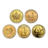 1 oz Gold Coin
