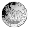2017 Somalia 1 oz Silver Elephant BU (Rooster Privy)