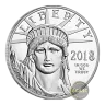 2018 1 oz American Platinum Eagle Coin