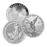 1/4 oz Silver Coin