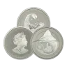 1/3 oz Platinum Coin - Design Our Choice