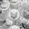 Random Coin 1 oz Silver Coin BU Random Year