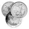 1/4 oz Silver Coin (Random Year, Varied Condition)