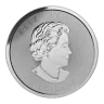 Any Year 1.5 oz Generic Silver Round