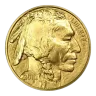 1oz American Buffalo Gold Coin 2010