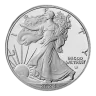 1 oz American Silver Eagle Silver Coin