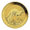 Any Year 1/10oz Bullion Nugget / Kangaroo Coin