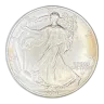 1 oz American Silver Eagle Silver Coin