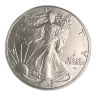 1 oz American Silver Eagle Silver Coin